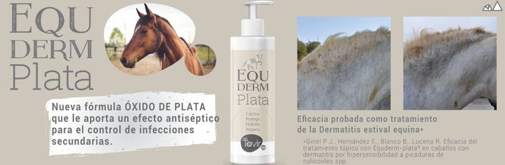 EquinvestES's tweet photo. EQUDERM PLATA💥Es una nueva formulación de uso tópico indicada para el cuidado de la piel en caballos con dermatitis alérgicas. 

https://t.co/iY7h8DBAFV

#dermatitisestivalequina #caballos #saludanimal https://t.co/GyaMRwshnq