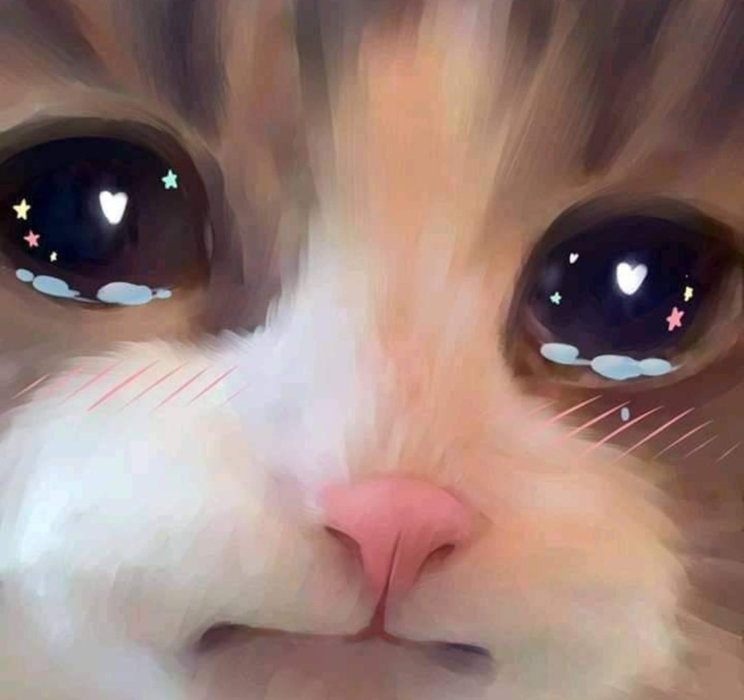 Bubbleman comeback just made my day