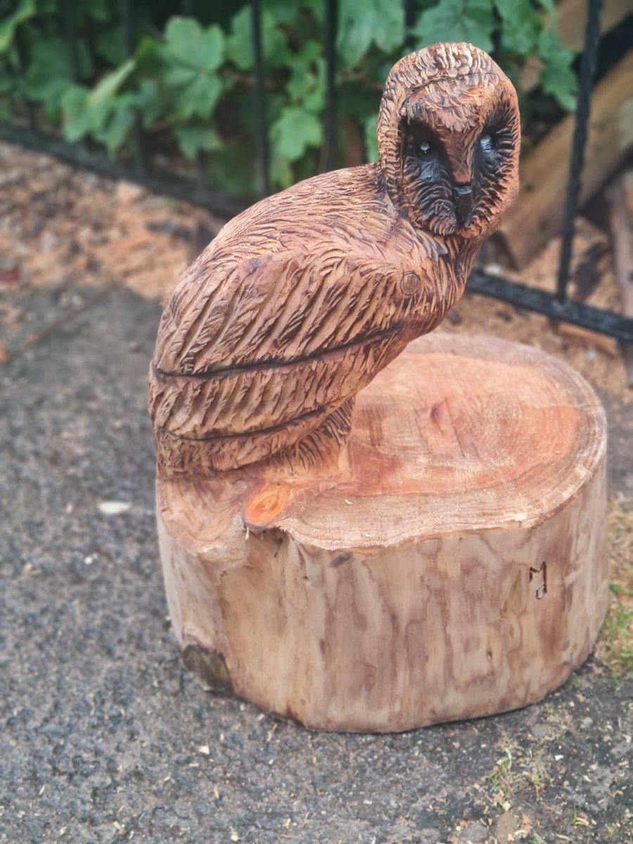 Chainsaw carved owl just finished. PLease  re tweet. #owl #OwlishMonday #Barnowl #chainsawcarving #garden #woodsculpture #ElonMusk