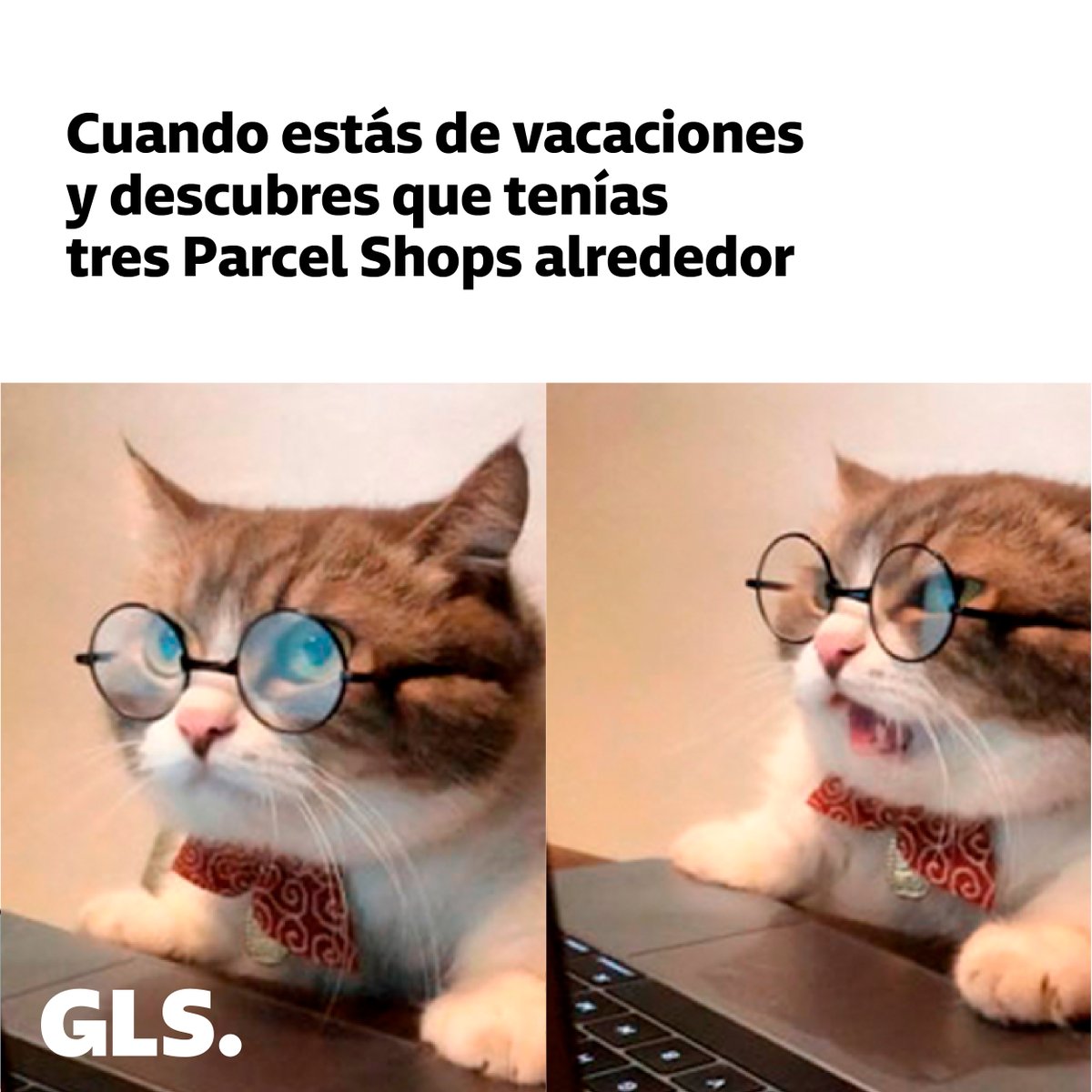 GLS_Spain's tweet photo. Tu Parcel Shop más cercano está aquí 👉 https://t.co/G9rZ8vhwf3
#ParcelShop #GLSSpain https://t.co/kPFXnpJs9a