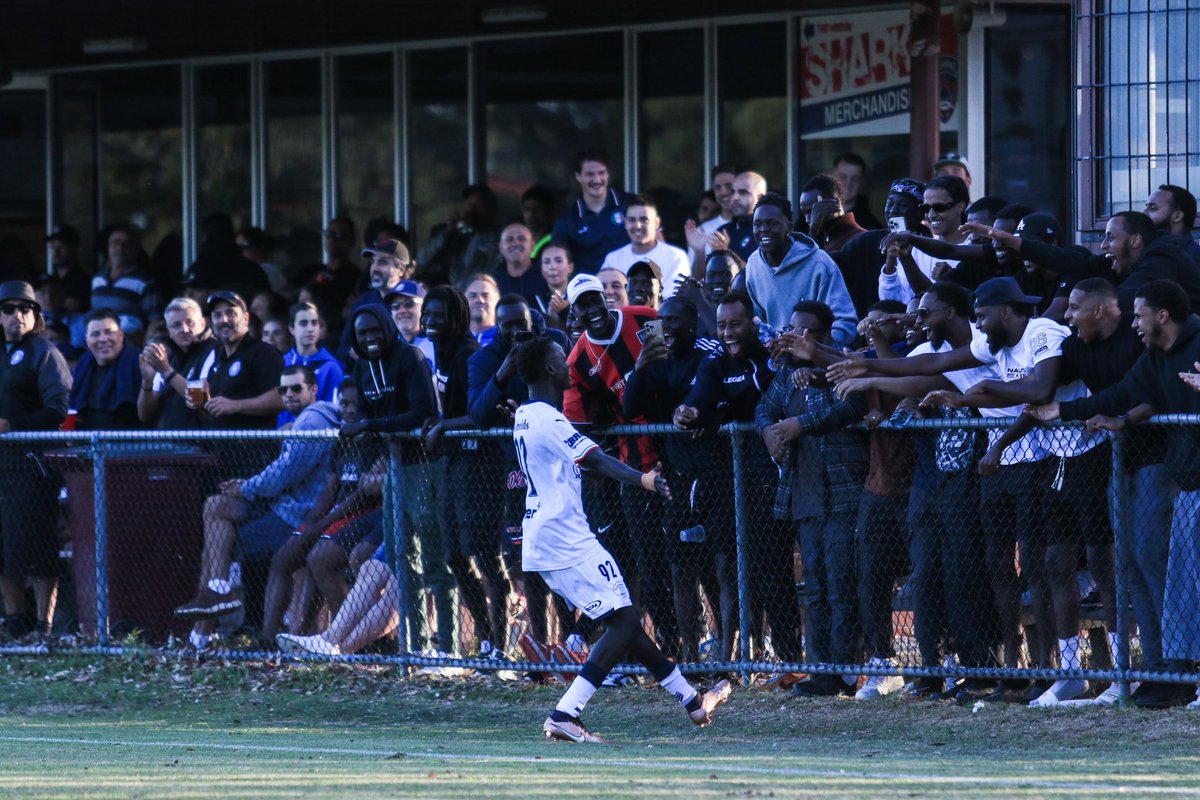 PhotosPerez's tweet photo. A few of my favourite snaps from this season 📸💙🏆 #nplvic #football #melbourne https://t.co/10JEH5cQ98