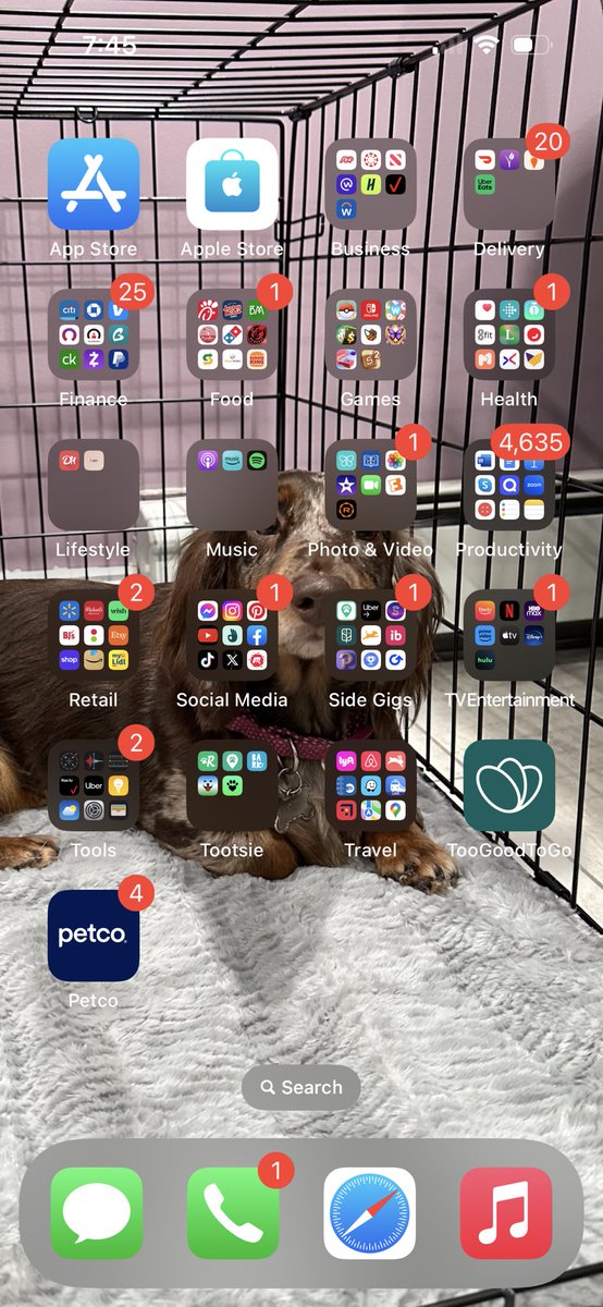 amandaadada's tweet photo. Well, what better activity to do than organize your phone apps when you should be sleeping https://t.co/ZOvHEHkzlT