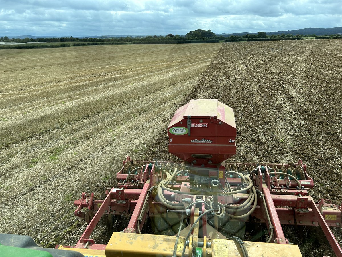 Six way cover crop mix (vetch,buckwheat,crimson &amp; berseem clover,linseed &amp; phacalia) going in moist conditions.