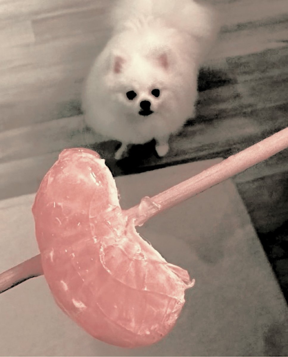 ⠀⠀⠀

#헤이란s͡♡   ␥   log  𝕝  O4

ʻ  meet milku, a new menace running around my house @___@  ’                   

⠀⠀⠀