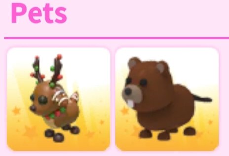 aine | ia tweet media