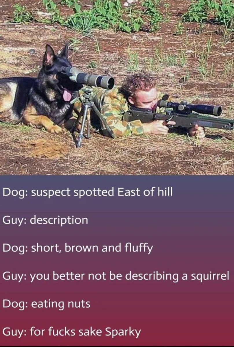 Sparky has his priorities straight