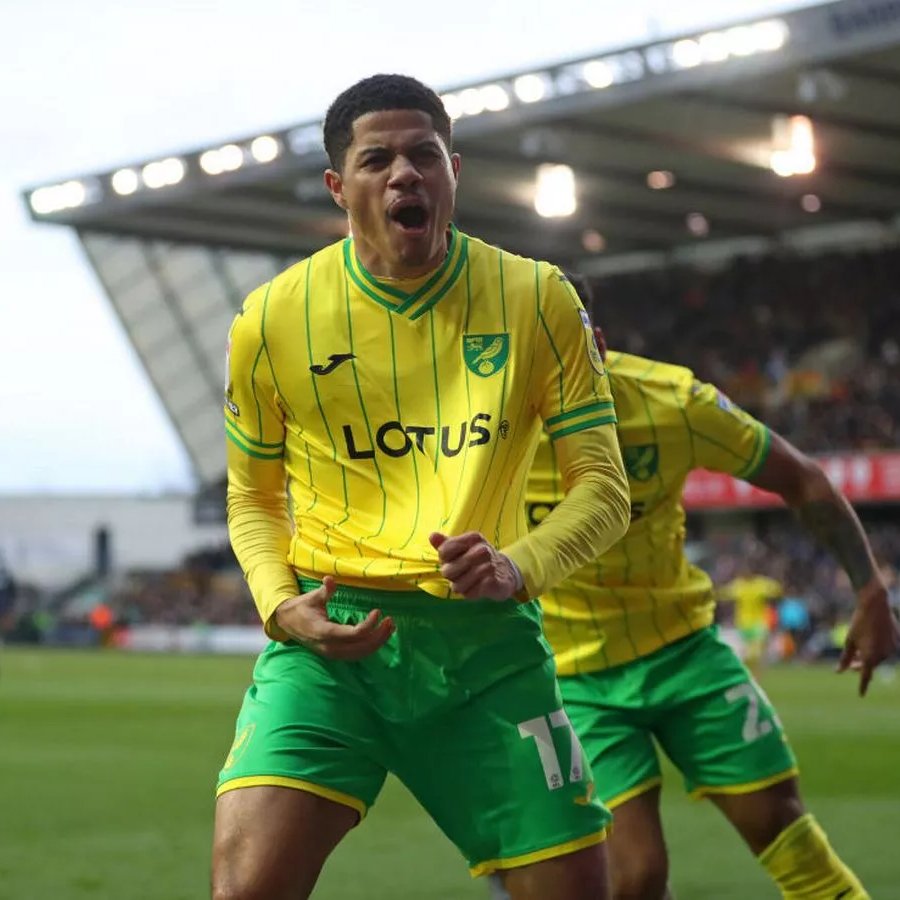 hubfootballclub's tweet photo. The Best Players in the Championship so far this season 👀👇

1️⃣ Gabriel Sara 🔰
2️⃣ Kiernan Dewsbury-Hall 🦊
3️⃣ Will Smallbone 😇
4️⃣ Wesley Hoedt 🐝
5️⃣ Morgan Whittaker 🟢
6️⃣ Ben Wilmot 🔴
7️⃣ Leif Davis 🚜
8️⃣ Ozan Tufan🐯
9️⃣ Jonathan Rowe 🔰
🔟Ethan Laird 🔵 

Did we miss anyone out?💭

#NCFC #LCFC #SaintsFC #WatfordFC #PAFC #StokeCity #ITFC #HCAFC #BCFC
