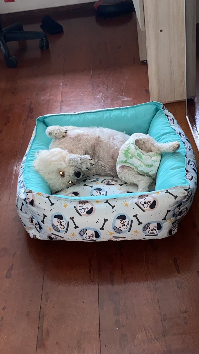 Euzinha relaxada quando o Bozo for preso!