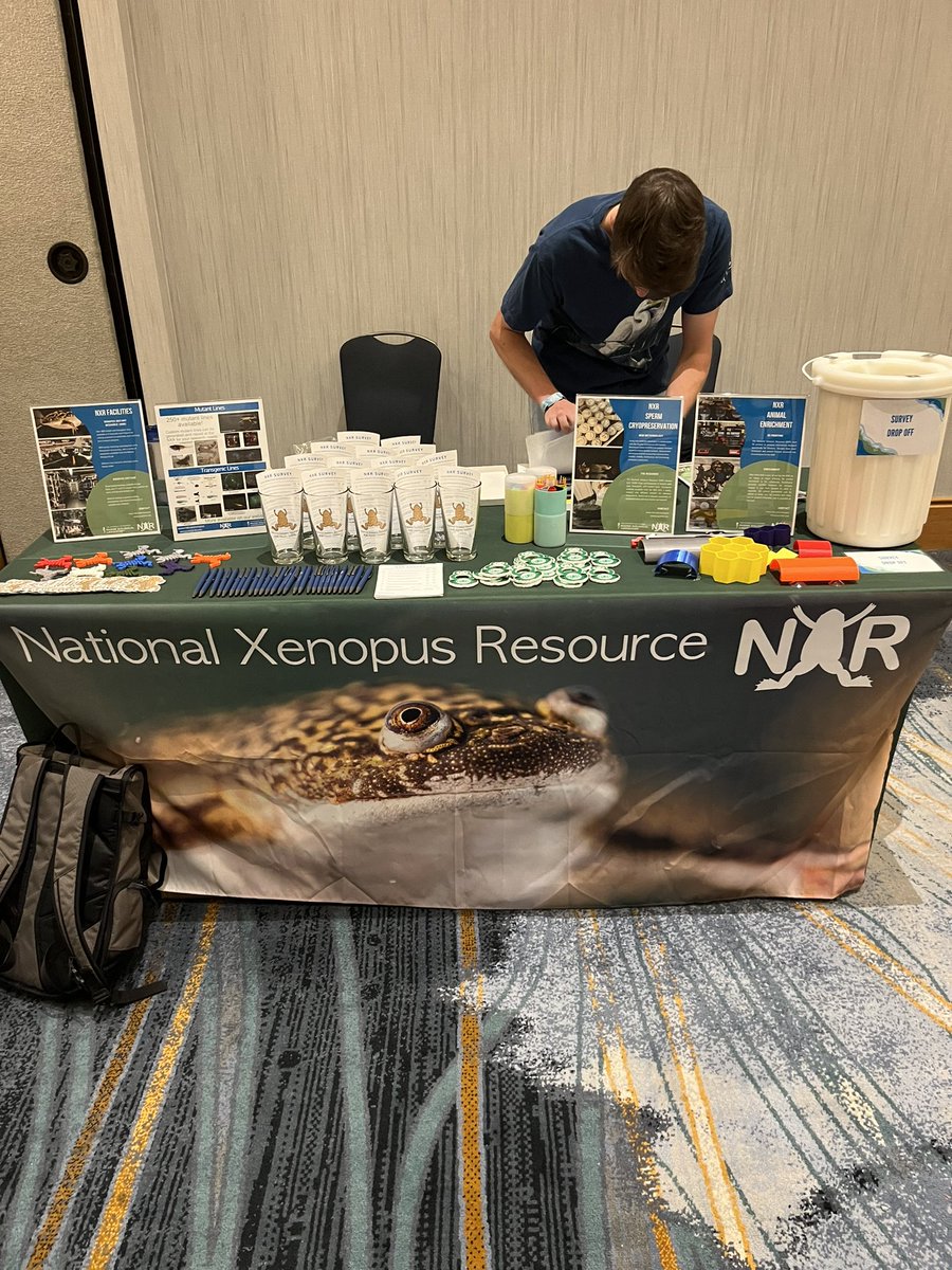 Awesome setup by Carl and others from NXR