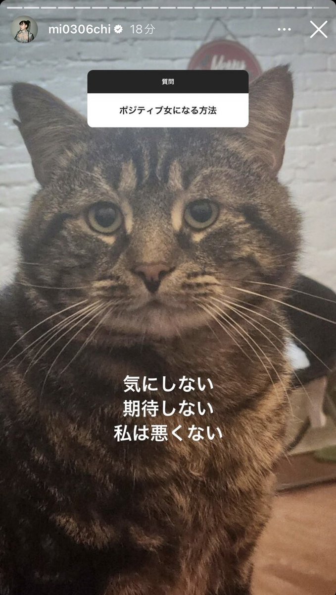 etdulxc's tweet photo. ミチちゃんのこのマインド最高大好き https://t.co/eXrbe5oRcF