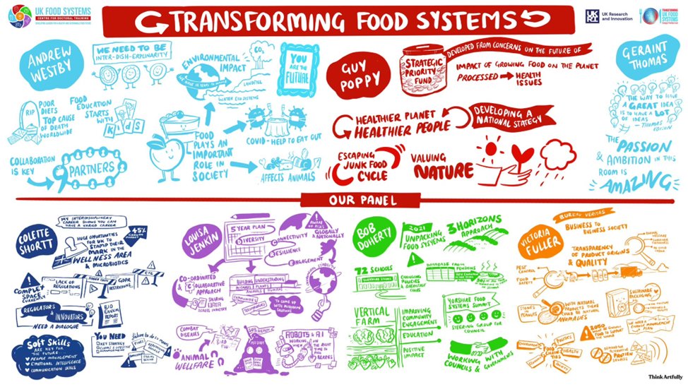 Amazing work by @Think_Artfully condensing panel discussions and keynote presentations on #FoodSystems by professors @AndrewWestby, @GuyPoppy1 @GeraintThomas01 @LouisaJenkin, Prof Bob Doherty @UniOfYork @FixOurFoodteam, Victoria Fuller @BureauVeritasUK, Colette Shortt @UlsterUni