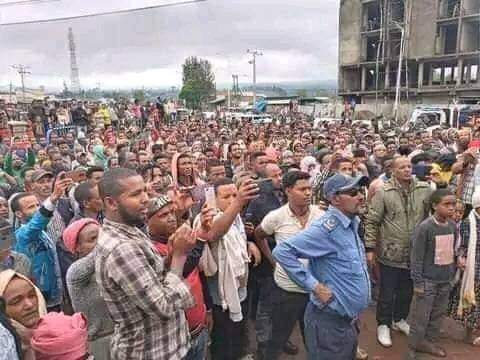 Tewhidkidemya's tweet photo. ጉራጌን አፈር ሊያለብሱት ከተነሱ ሀይሎች ጋር ተባብሮ ይቀርታ ማለት ገድዬ ላድንህ እንደማለት ነውና ክህደታችሁ ሳይንስ ዳግም በህዝባችን ላይ አአትሳለቁ!!!ክህደታችሁ ለትውልድ ትውልድ ይተላለፍላችኋል።

በህጉ መሰረት ጉራጌ ክልል ከሆና ቆይቷልና ሪፈረንደም 
እስከሚካሄድ ትግላችን አይቆምም።ከህግ ውሳኔ የፖለተካ ውሳኔ አይበልጥም።