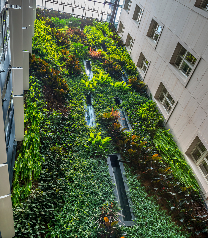 Our portfolio boasts the highest vertical hydroponic wall in the world! The wall, which reaches an impressive height of 27 metres and contains approximately 5,500 carefully selected plants, stands in the myhive building in Jindřiška Street in Prague.