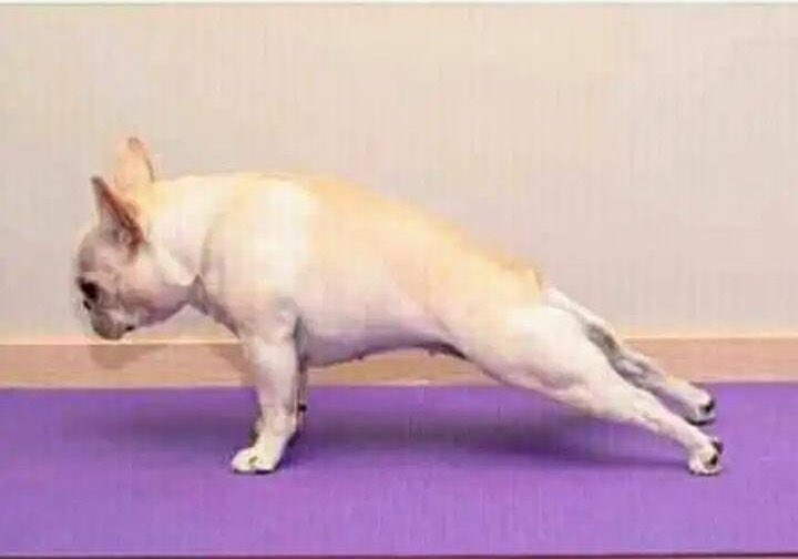 Pale missionary ukiwa na mjulus ndogo,