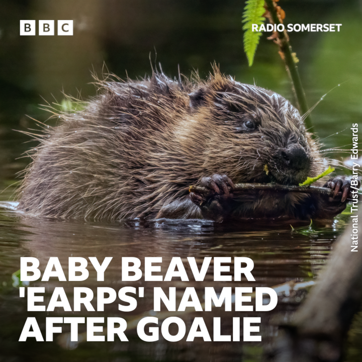 Meet ‘Earps’ the beaver ❤️

The kit was named after England goalkeeper Mary Earps when the National Trust asked for suggestions.