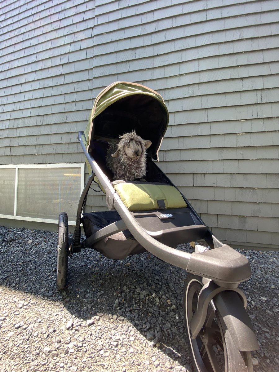 Aerobics First tweet media