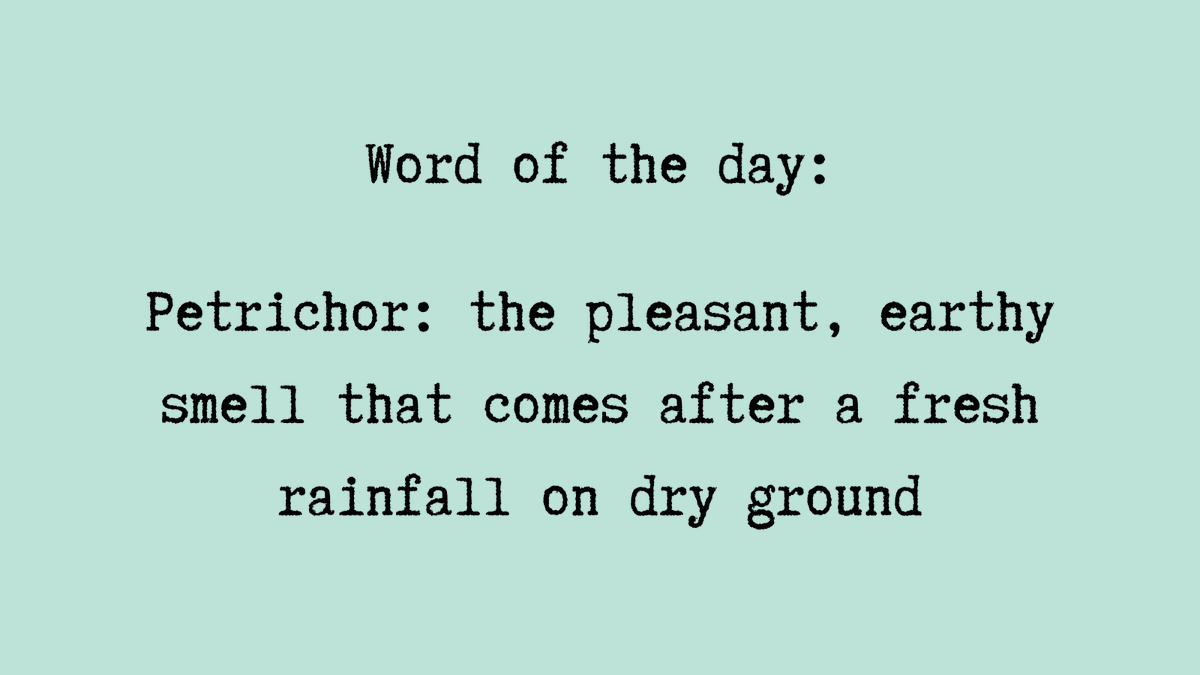 drmmilla's tweet photo. After weeks without a single drop of rain, petrichor hung in the air after this morning's showers. 

#WordOfTheDay #amwriting #writingcommunity #writersoftwitter #indieauthor https://t.co/oyBjsQmNC6