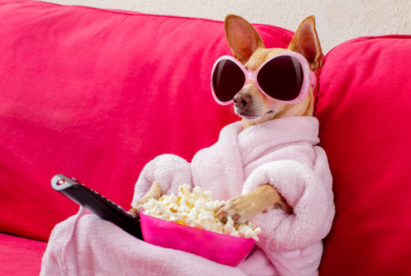 BENaanhettesten's tweet image. What a stressful day! From endless meetings to never-ending deadlines, I can't wait to unwind and relax tonight. #NeedSomeRest