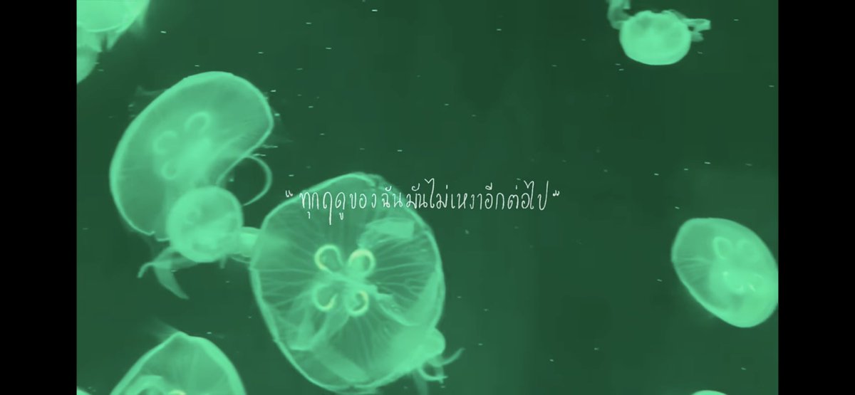 23jpeg's tweet photo. เพลงรักเพลงแรก - LANDOKMAI ท่อน 'ช่วยบอกฉันว่ารักอีกสักคำ ช่วยทำให้เพลงนี้หวานขึ้นกว่าเดิม' เราอินเพลงนี้มากขึ้นเลยตอนได้รักใครซักคน เพงนี้หวานขึ้นจริงๆตอนมีใครซักคนอยู่ในนั้น https://t.co/qFRWxBdyLR