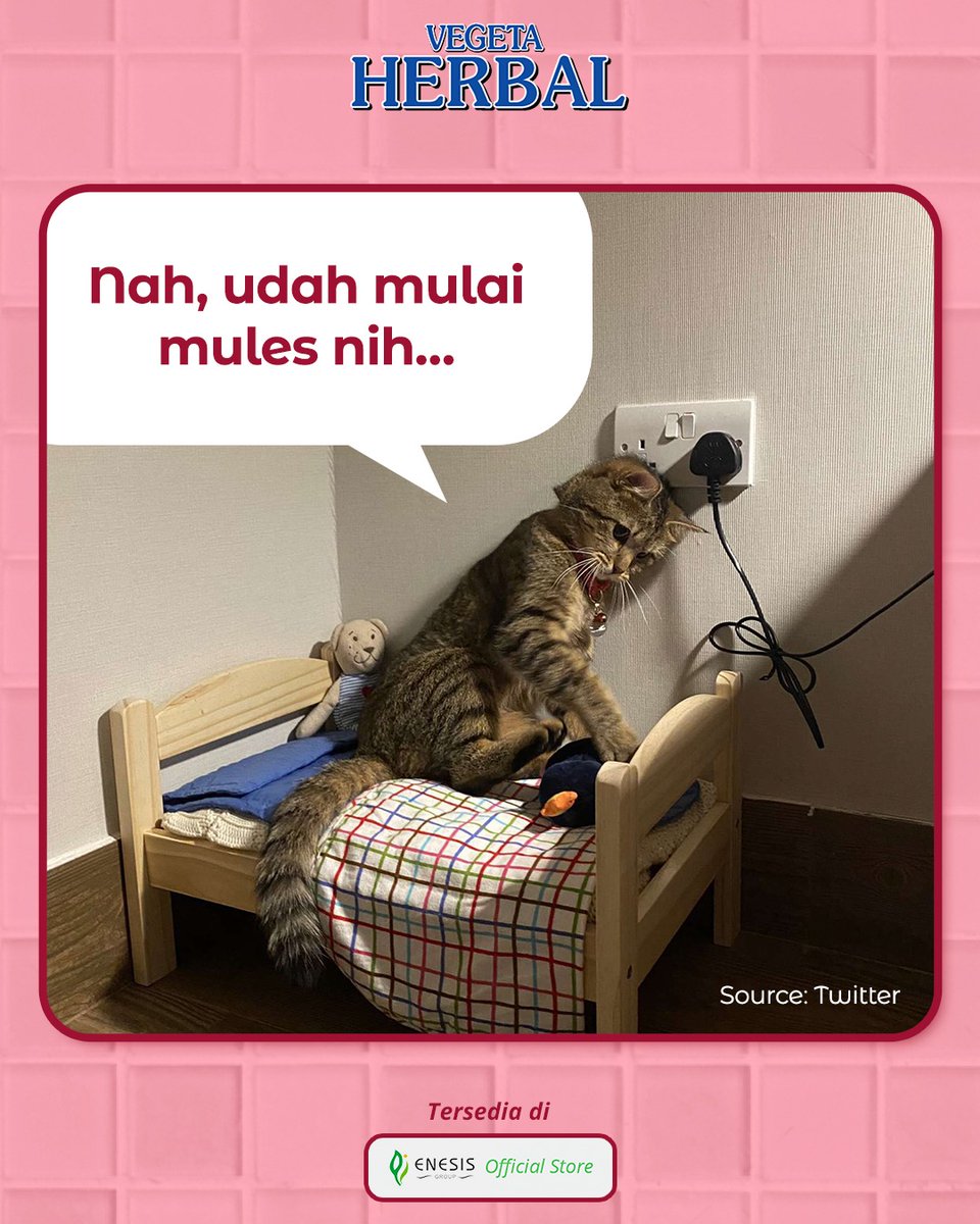 Sakit banget rasanya di PHP sama perut. Sembelit emang suka gitu, makanya langsung minum Vegeta Herbal biar pencernaan lancar lagi.

Vegeta Herbal mengandung serat alami bantu BAB kamu lancar tiap hari. Stok di rumah ya, V’riends!

#SeratnyaAlamiBABLancarTiapHari