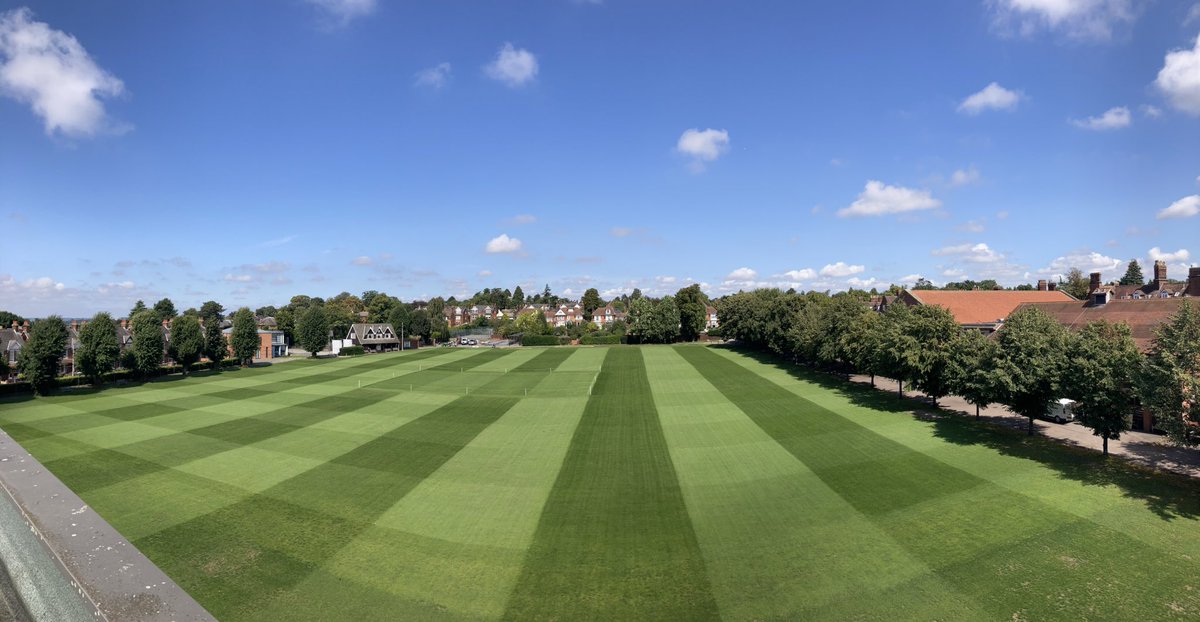 SchoolIpswich's tweet photo. Nearly September, normally no grass left!!! Needs a groom and a feed but happy at this stage of the summer https://t.co/XaeoPH9YdV