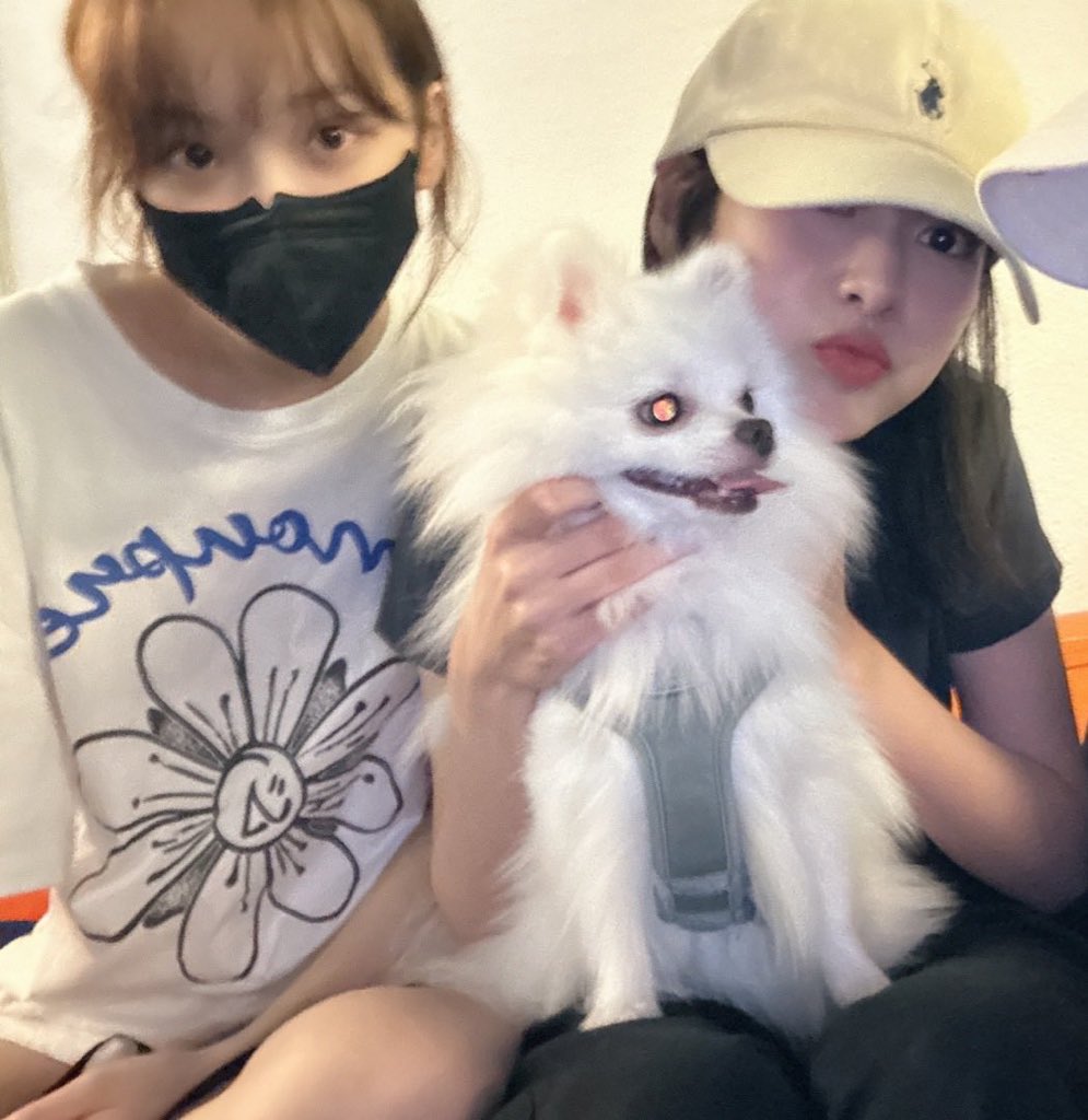 chaerudd's tweet photo. 김김 X 시로 
합체 https://t.co/B9pzHqDam2