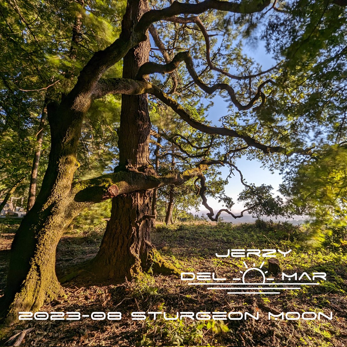 jerzydelmar's tweet photo. 2023-08 Sturgeon Moon mix. Enjoy !
https://t.co/dUtdo2JrBA #organichouse https://t.co/InpiNDB32N