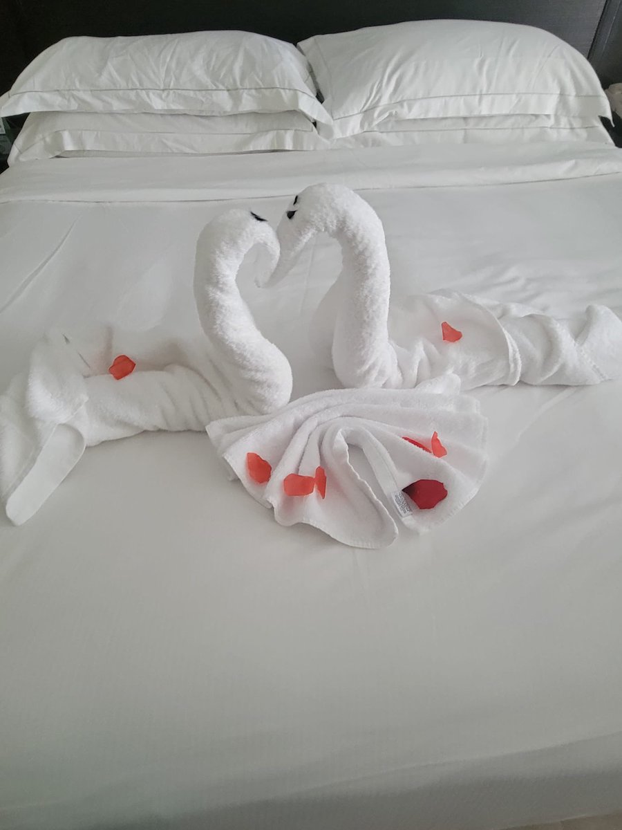 TheProConc1erge's tweet image. #ClientCam 5-Day Trip to Montego Bay, Jamaica curated for a wonderful couple by The Pro. Concierge🛎️💫 Every Detail Perfected, Every Moment Treasured. #JamaicanDreams #CoupleGetaway #BBNaija #theproconcierge @_DammyB_