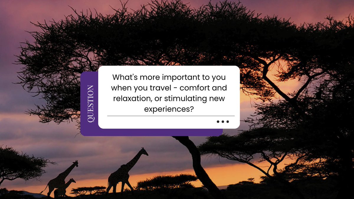 The Divine Destination Collection tweet media