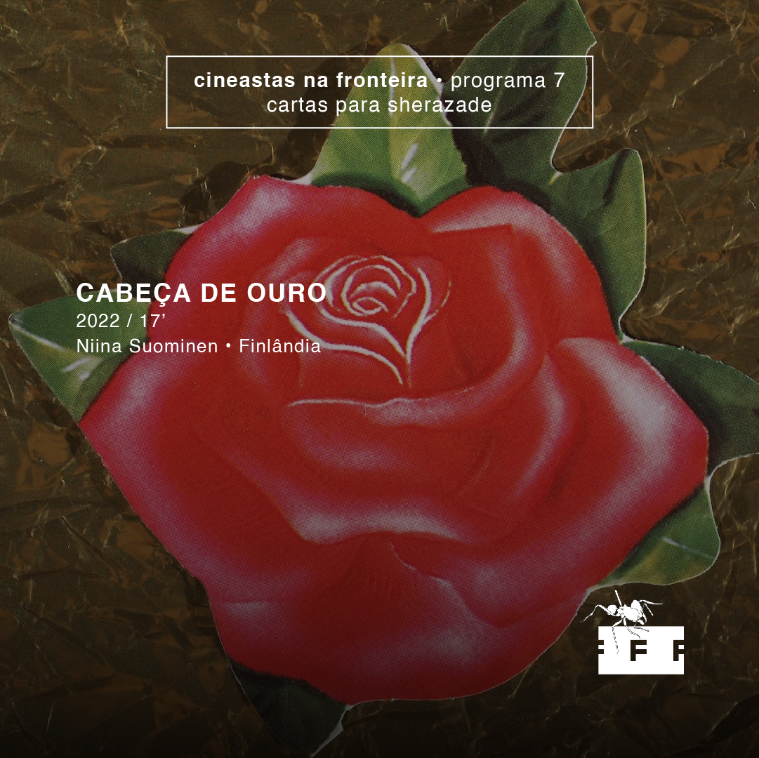 fronteirafest's tweet photo. 🔹  PROGRAMA 7: Cartas para Sherazade

No Começo, a Mulher Era o Sol, de Sylvia Schedelbauer (Alemanha, 2022, 17')
Cabeça de Ouro, de Niina Suominen (Finlândia, 2022, 17’)
(+) 👇🏼 https://t.co/D7F40cMf5Q