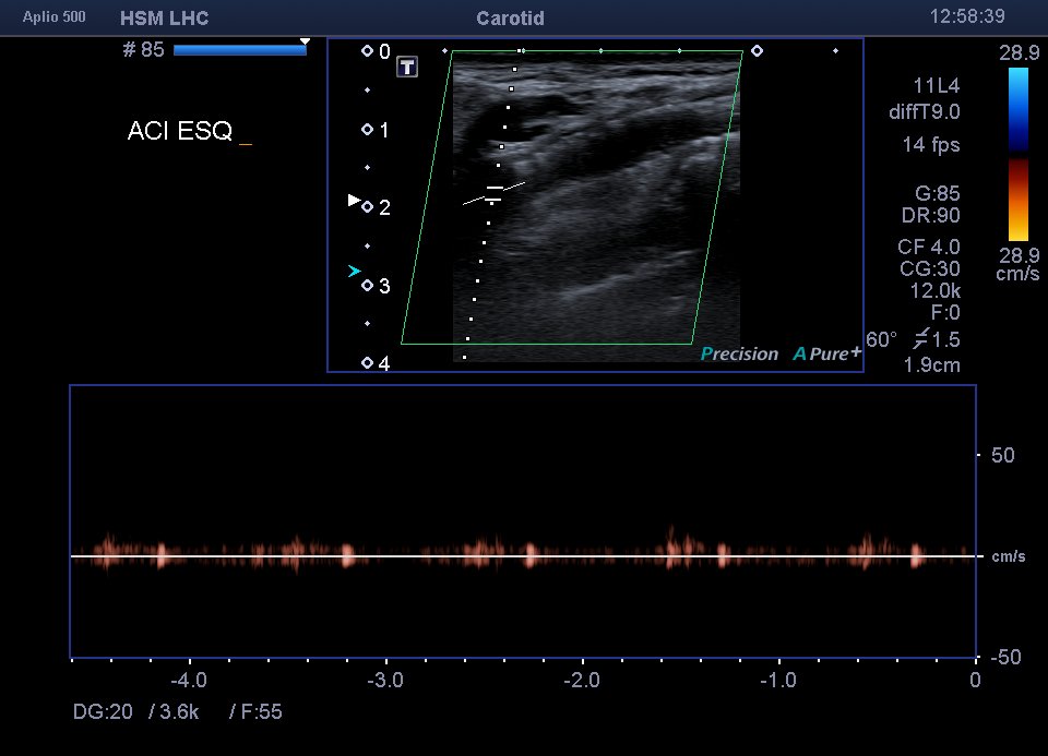 Neurosonology Lab - LHC tweet media