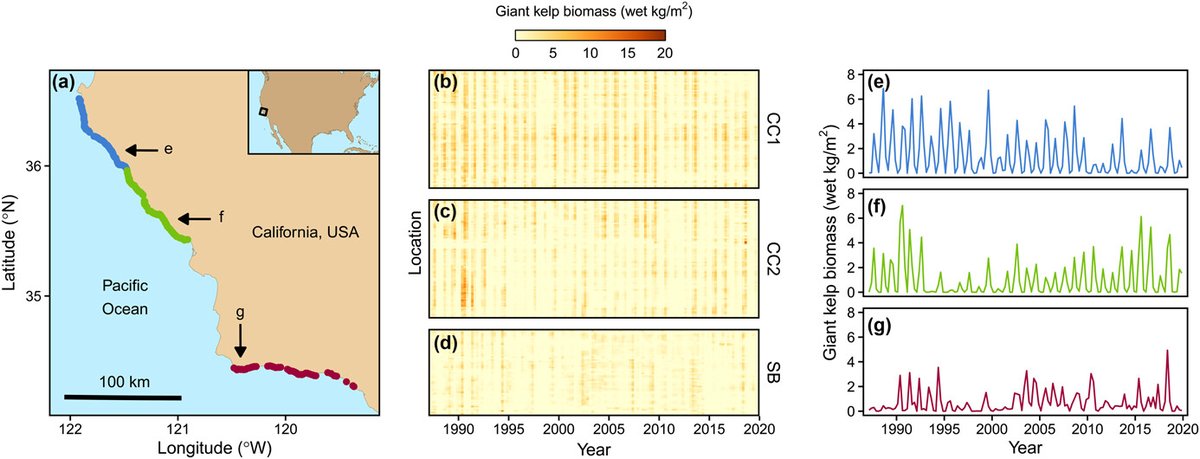 How environmental drivers of spatial synchrony interact
onlinelibrary.wiley.com/doi/10.1111/ec…