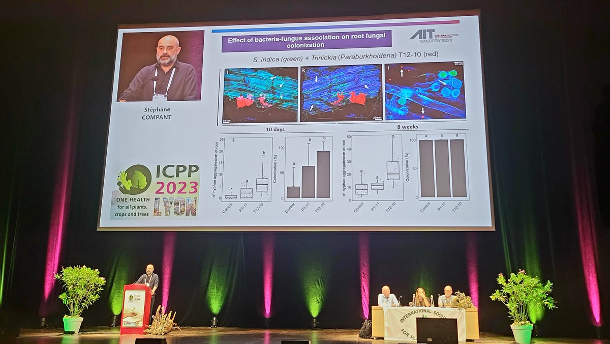 Biocontrol supporting plant #Health 
Interesting talk given by <a href="/CompantStephane/">Stéphane Compant</a> from <a href="/AITtomorrow2day/">AIT</a> <a href="/icpp2023/">ICPP2023</a>
@SessitschAngela @