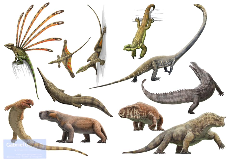 Fransuchus's tweet photo. A wildlife documentary about the Triassic would certainly make people think all these animals were made up. There were the weird, more weird and the extraordinary.

Illustrations by Gabriel Ugueto https://t.co/PsIOX6aUpL