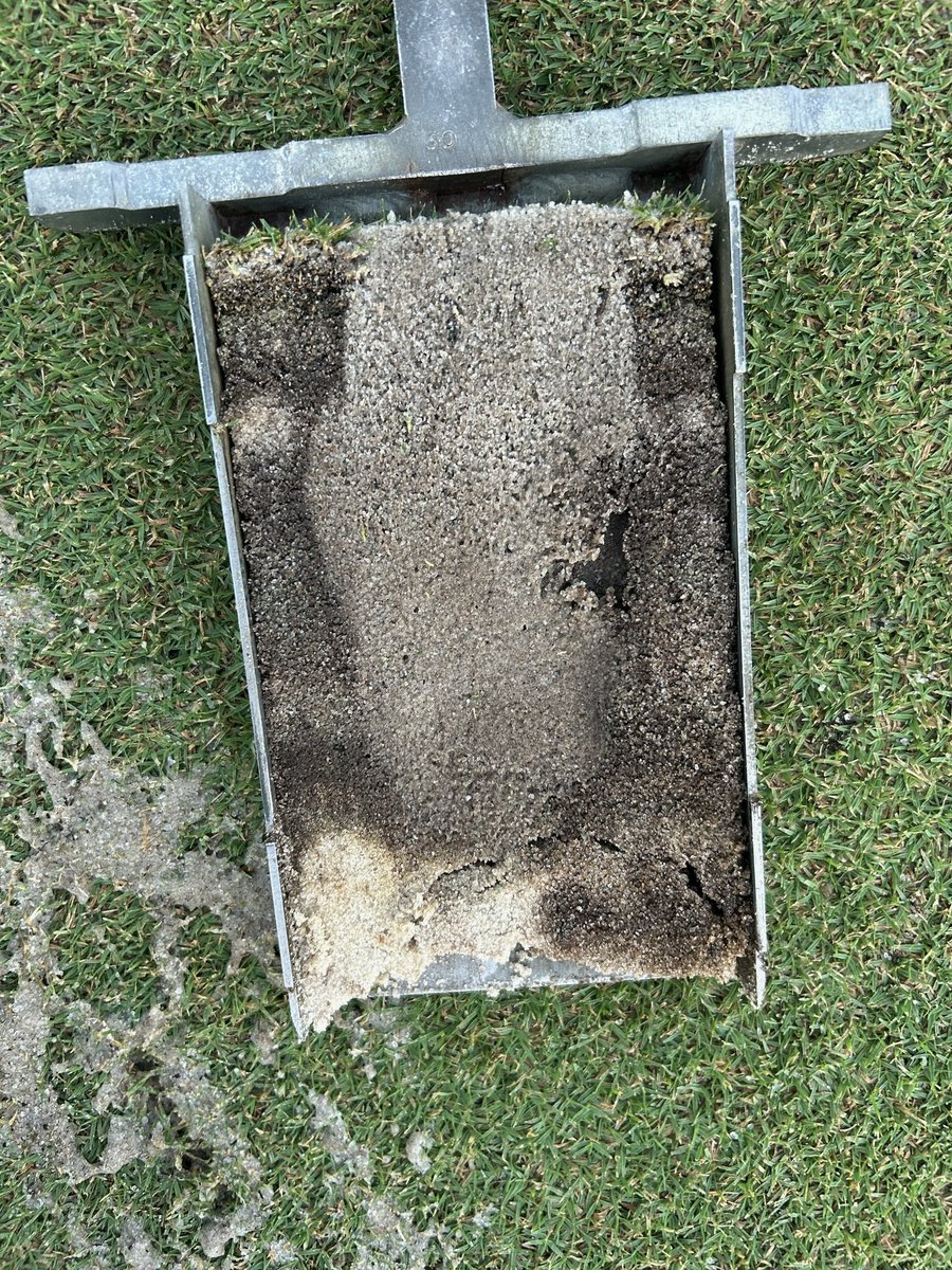 ADryject's tweet photo. A little Monday Maximus Motivation shot this morning. 2024 calendar filling up already. Give us a shout to book your dates.  #PoundSand #PHD https://t.co/rJjt7YiAt1