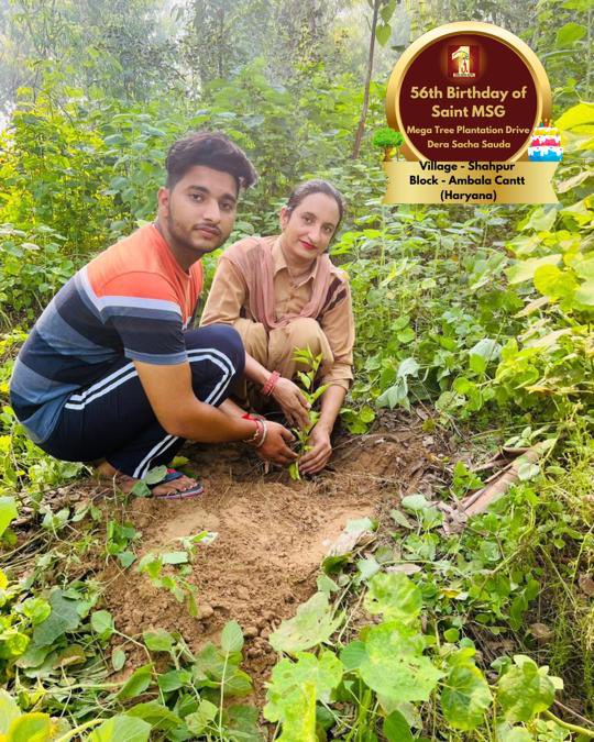 DSSNewsUpdates's tweet photo. The best gifts come from the heart and earth. 🌲Tree Plantation By DSS Volunteers from Shahpur, Ambala Cantt, Haryana on the occasion of Saint Dr. MSG's Birthday. #56thBirthday #SaintDrMSG #DeraSachaSauda #TreePlantation https://t.co/PeCTZp0Cqi