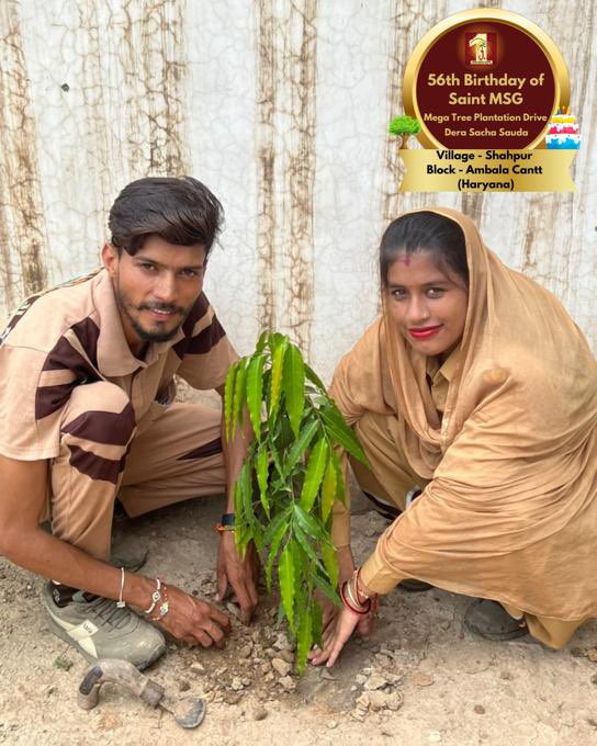 DSSNewsUpdates's tweet photo. The best gifts come from the heart and earth. 🌲Tree Plantation By DSS Volunteers from Shahpur, Ambala Cantt, Haryana on the occasion of Saint Dr. MSG's Birthday. #56thBirthday #SaintDrMSG #DeraSachaSauda #TreePlantation https://t.co/PeCTZp0Cqi