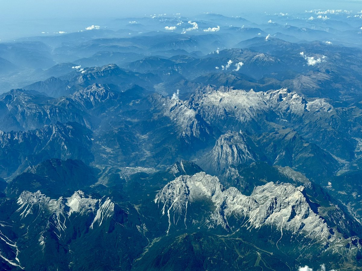 ıuɐpɹoıƃ sɐloɔıu tweet media