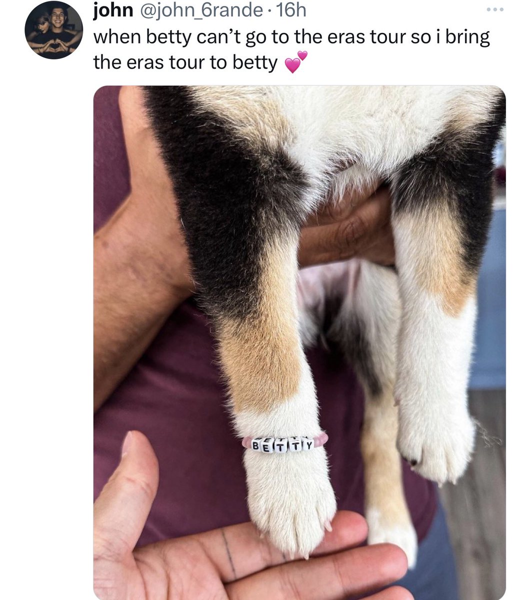 swifferwins's tweet photo. i wonder how many cats in the world are named august and betty (i know mine are lmao) https://t.co/l6y0jaMkQj