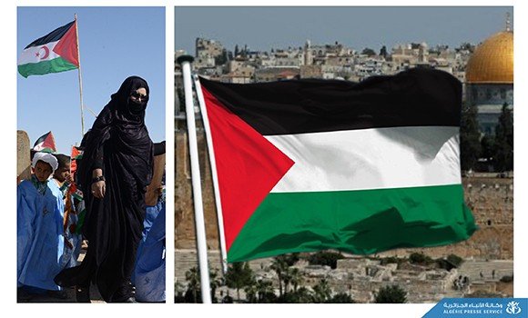 APS_Algerie's tweet photo. #جنوب_إفريقيا تؤكد مواصلة دعمها للشعبين الفلسطيني  🇵🇸والصحراوي 🇪🇭 في كفاحهما ضد الاستعمار

🔗https://t.co/qTlBF1yAiQ https://t.co/R7o8r0fvL9