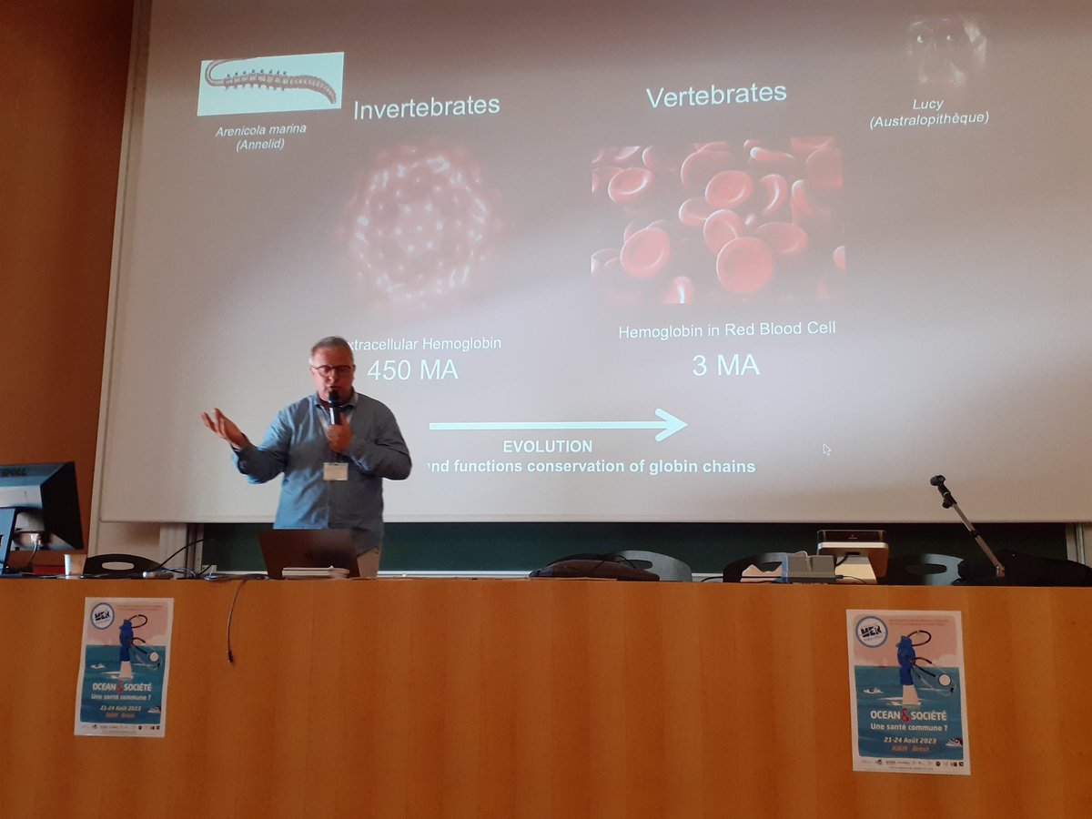 MerEducation's tweet photo. @UmrAmure @ISblue_school @IUEM_Brest @UBO_UnivBrest @Oceanopolis_ @acrennes @edd_acrennes @LemarLab @ENSTABretagne 2ème partie de la journée de problematisation #MerEduc23
Franck Zal, directeur scientifique et PDG de @Hemarina présente comment la découverte d'une hémoglobine extracellulaire chez un ver marin permet d'oxygener des organes et de prolonger leur durée de vie avant une greffe🩸 https://t.co/dti5sbhtsc