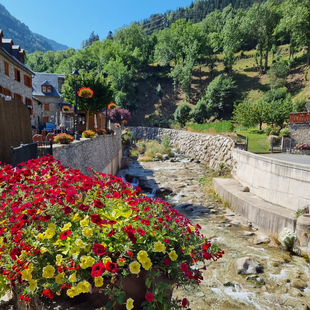 Viles Florides tweet media