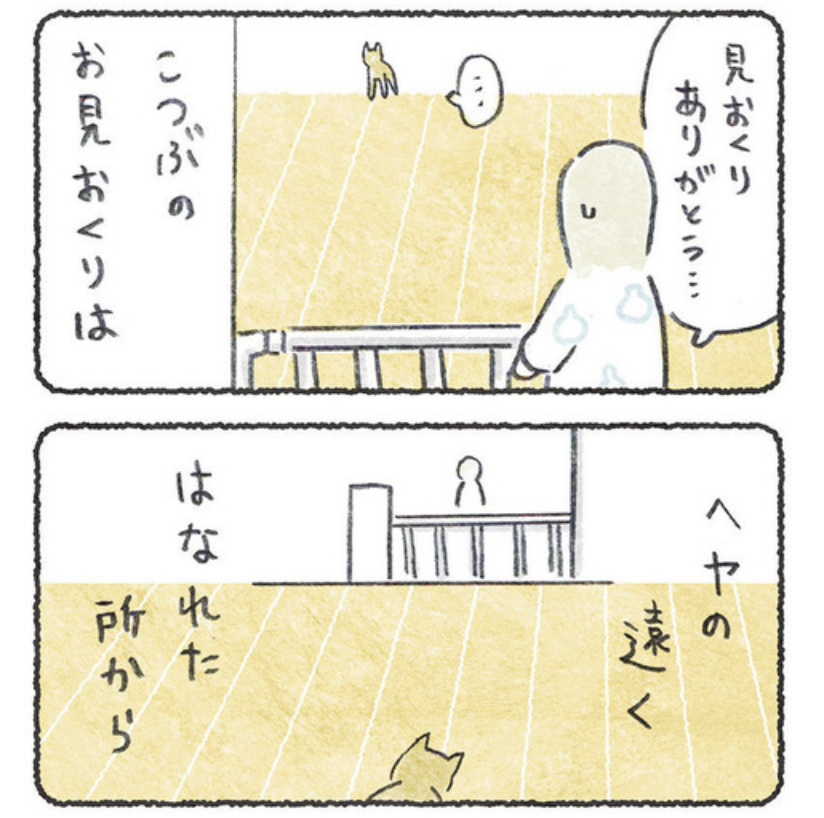 お見おくり遠いな〜
https://t.co/vMKiHlyWWQ 