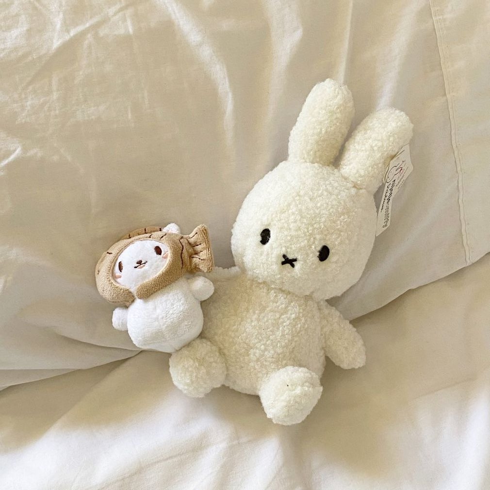 restarting ... 💭 

 hi ! i’m aria :D not new in #studytwt and i’m looking for mutuals

        ＃ 11 STEM 
        ＃ ‘06 , filo 
        ＃ she / her
        ＃ books, cats, zb1, taylor swift, films 

♡ / ↻ to be moots, ifb ^^