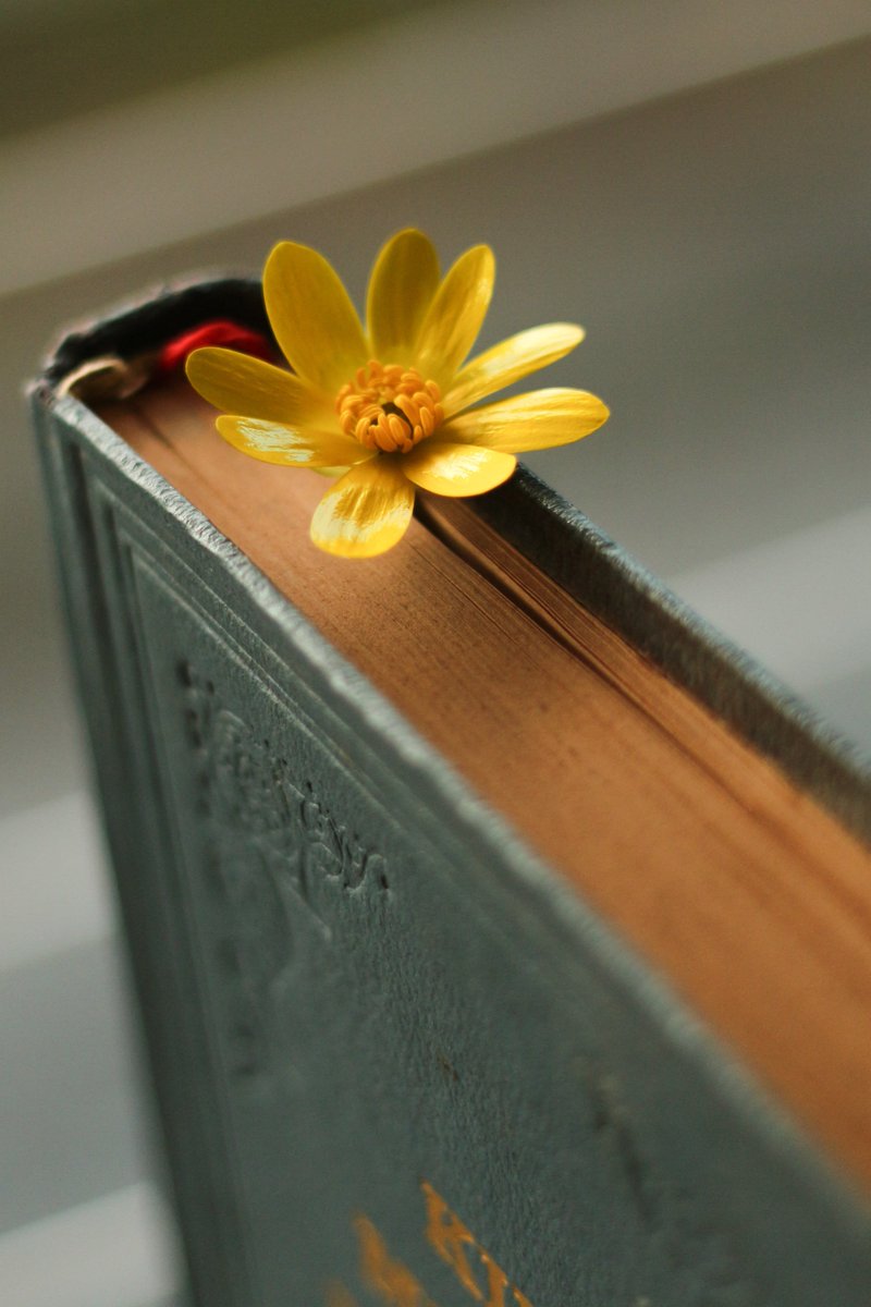 Dr. Ming Way tweet media