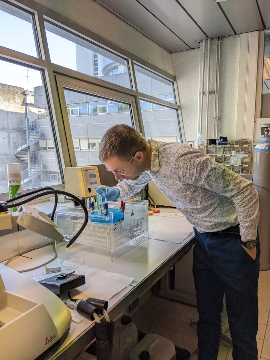 Dr_Di_Miceli's tweet photo. An excellent 20 days of research collaboration with Dr Sophie Layé at the @NutriNeuro lab. @UoW_BRG https://t.co/qecW1cElXA