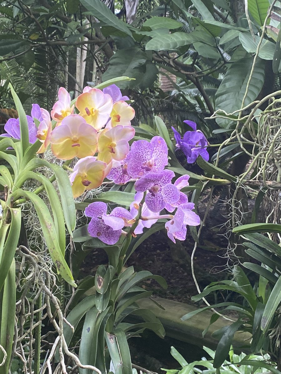 A Beautiful Mess 🌷💫 tweet media