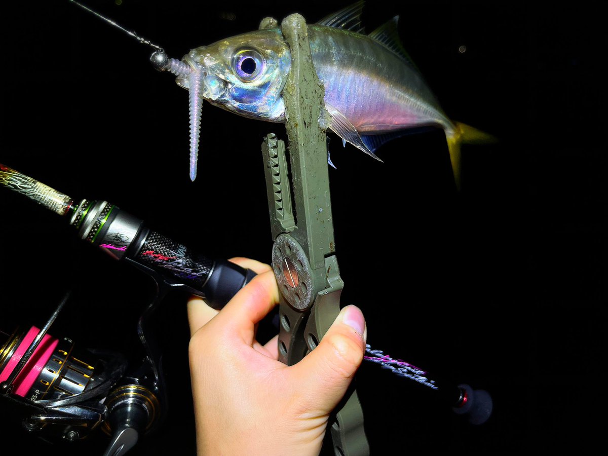 fishingkiuchi's tweet photo. 凄く綺麗🙌✨
TFL611RXTi  ＆TFLエステル0.35号
イージーシェイカー各種 https://t.co/JYGL3dik8F