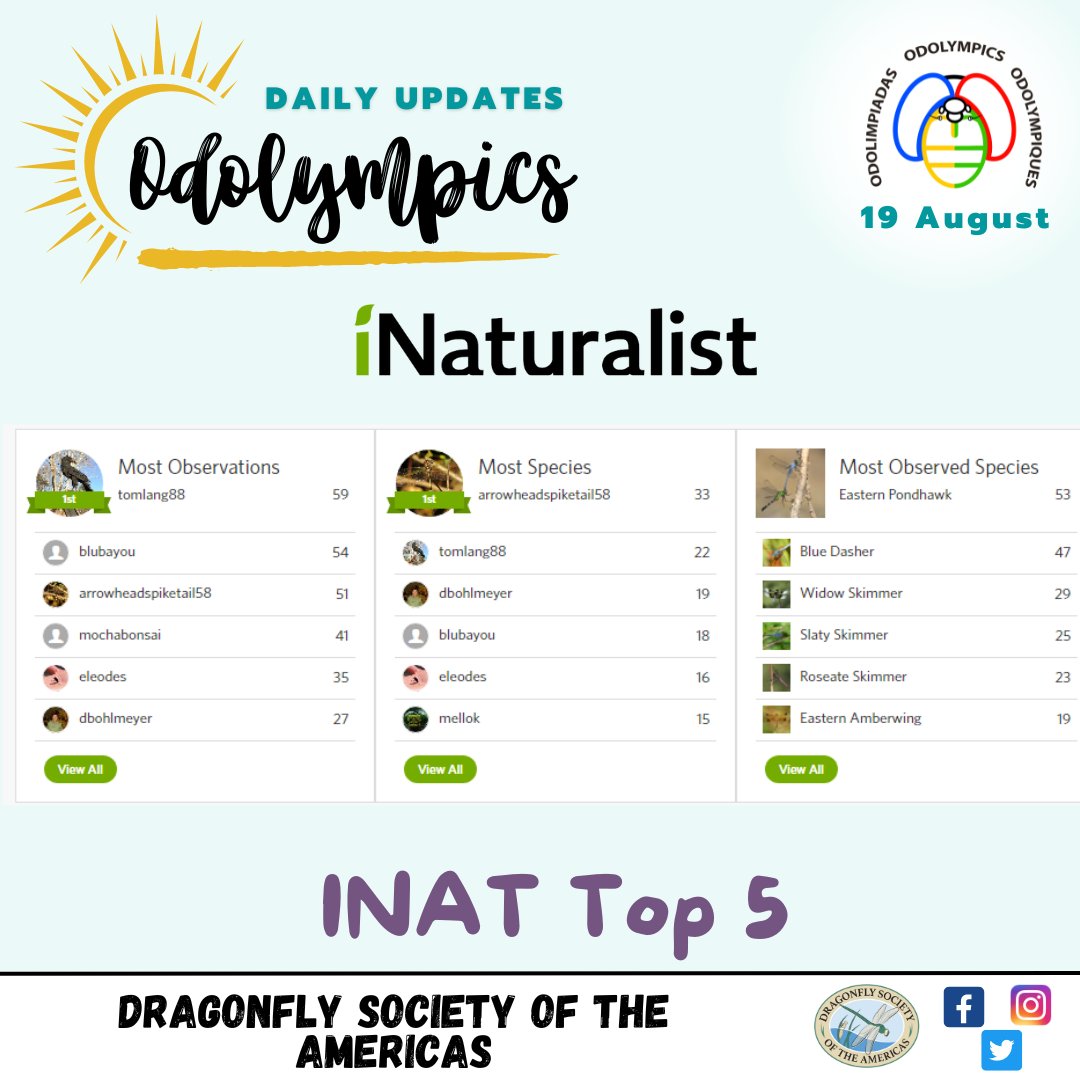 OdonataAmericas's tweet photo. #Odolympics fellows you are so awesome!!! These two days thanks to you we have more than 1000 records in total!
Also, yesterday you registered #dragonflies from Guatemala! Hopefully, we will have more records in Central and South America!
#bioblitz #inaturalist #Odolimpiadas https://t.co/IX5WJivYZ6