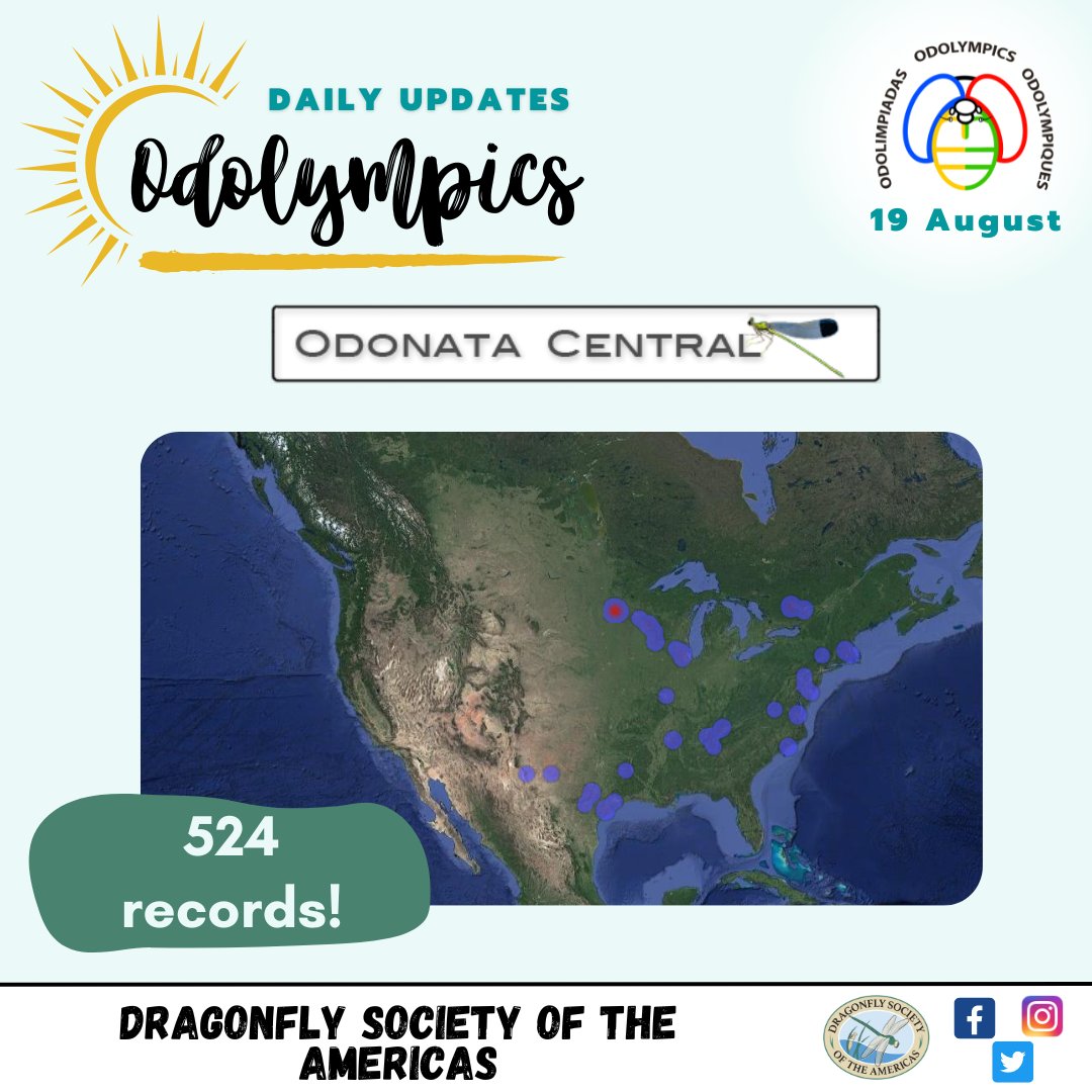 OdonataAmericas's tweet photo. #Odolympics fellows you are so awesome!!! These two days thanks to you we have more than 1000 records in total!
Also, yesterday you registered #dragonflies from Guatemala! Hopefully, we will have more records in Central and South America!
#bioblitz #inaturalist #Odolimpiadas https://t.co/IX5WJivYZ6